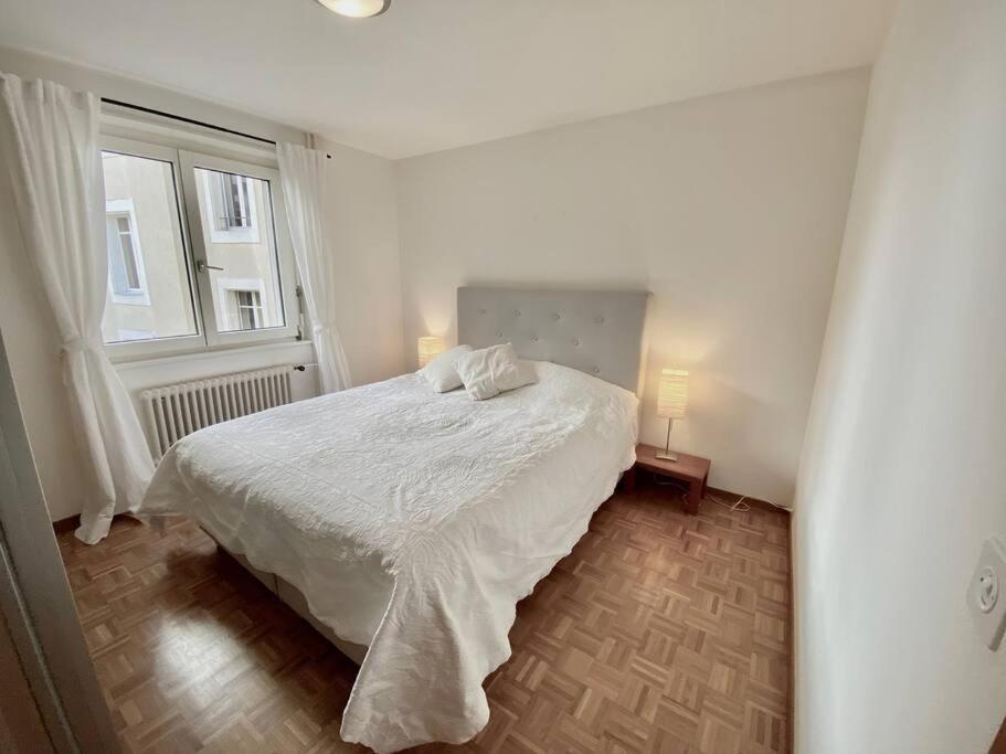 Comfortable, Very Well Located Between Train Station And Lake! Lausanne Ngoại thất bức ảnh